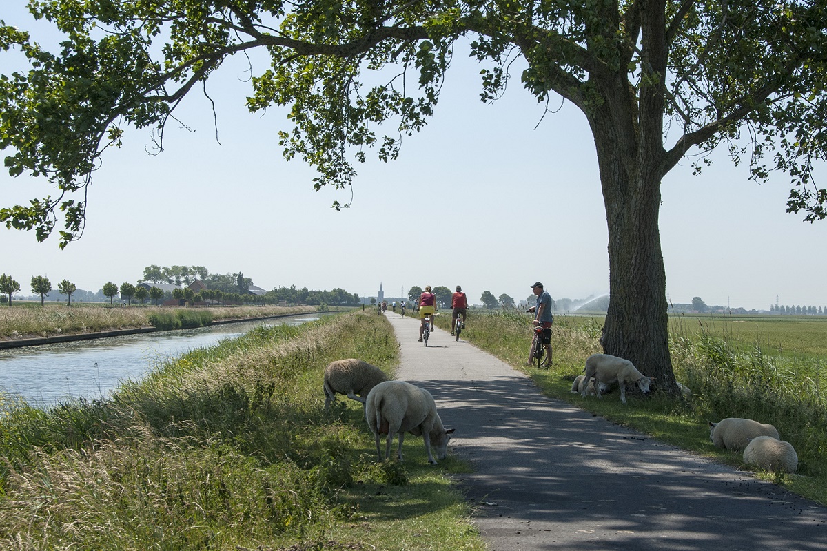 Réseau cyclable