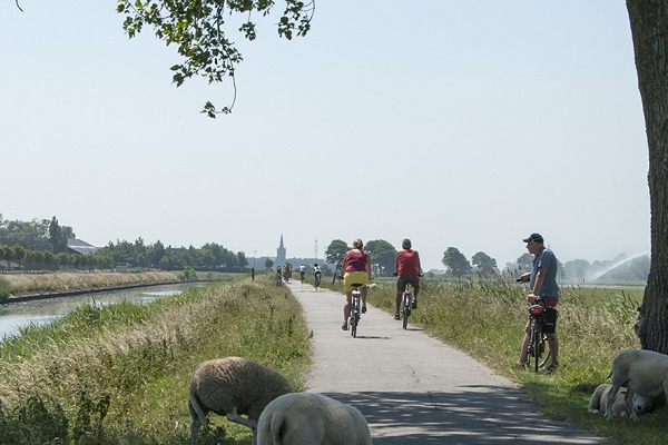 Réseau cyclable